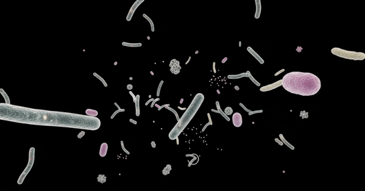 Part 1 - Understanding HOCL: Nature's Antimicrobial